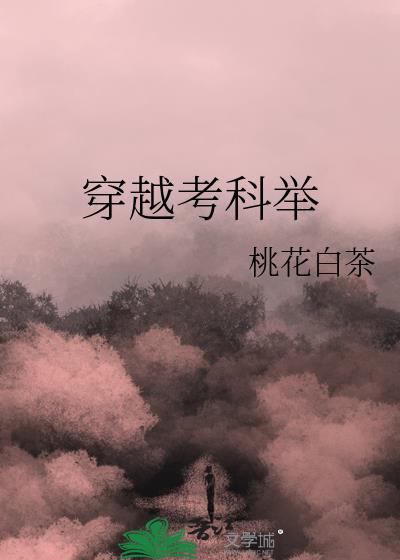 穿越考科举完整版